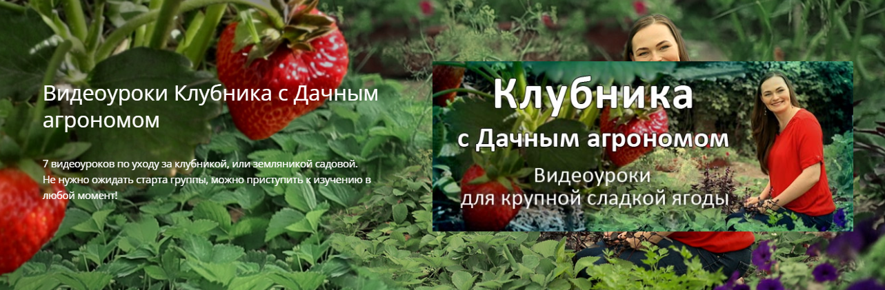 [Дачный агроном] Видеоуроки Клубника от А до Я (20_0.png